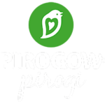 Logo Pirogow weiß